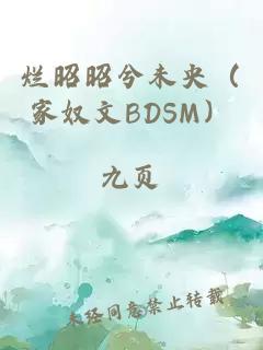 爛昭昭兮未央（家奴文BDSM）