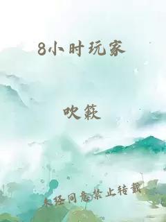 8小時玩家