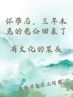 懷孕后，三年未見的老公回來(lái)了