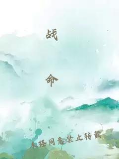 戰(zhàn)炁